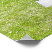 Poster Statue de Max Planck à Berlin (Coin)