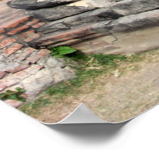 Poster Statue du Bouddha (Coin)