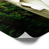 Poster Statue du jardin de la Vierge Marie (Coin)