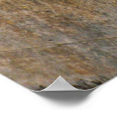 Poster Statue du lion (Coin)