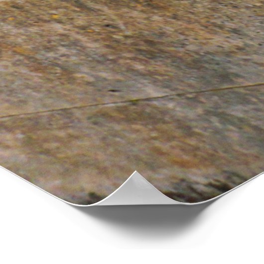 Poster Statue du lion (Coin)