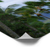 Poster Statue du roi d'Hawaï Kamehameha, Vue latérale (Coin)