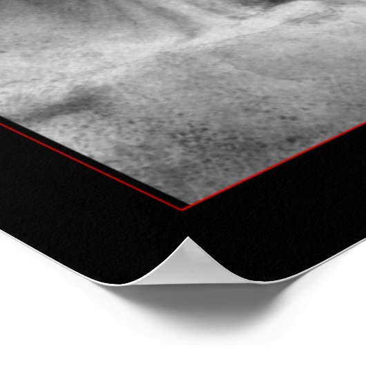 Poster statue grecque esthétique (Coin)