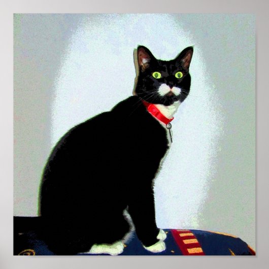 Poster Statue Lucy (Devant)