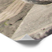 Poster Statue sur le front de San Francesco di Paola (Coin)