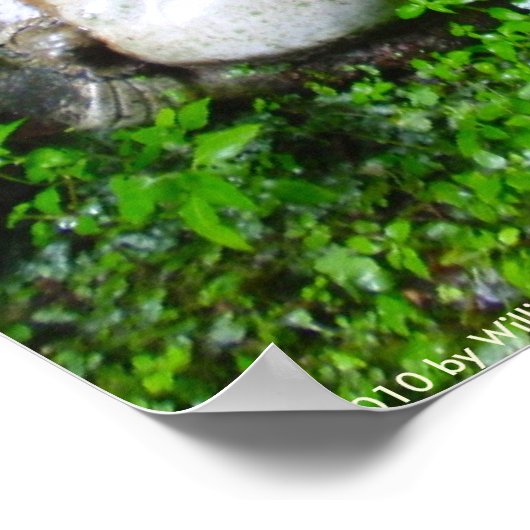 Poster Statues Tanuki (Coin)