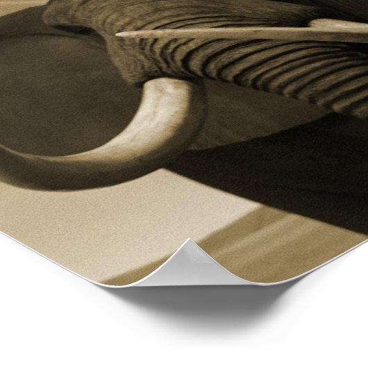 Poster Stature de Majestic (Coin)