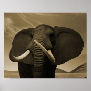 Poster Stature majestueuse