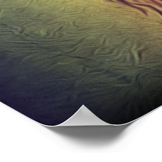 Poster Steampunk Couleur Gradient Lion Rustique (Coin)