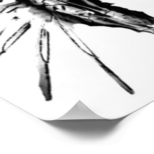 Poster Steampunk Valkyrie (Coin)