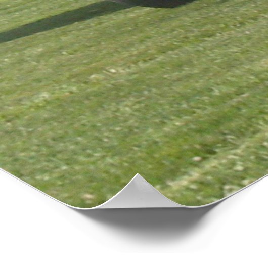 Poster Stearman (Coin)