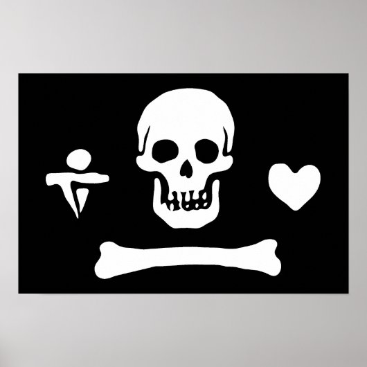 Poster Stede Bonnet (Devant)