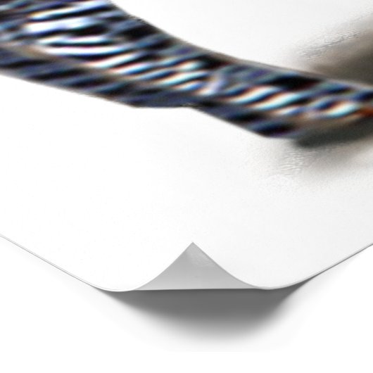 Poster Steebra (Coin)