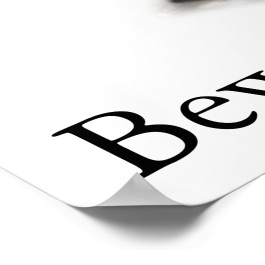 Poster Steebra (Coin)