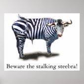 Poster Steebra (Devant)