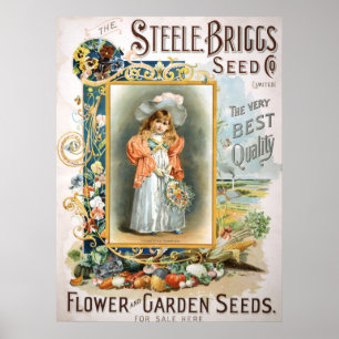 Poster Steele Briggs