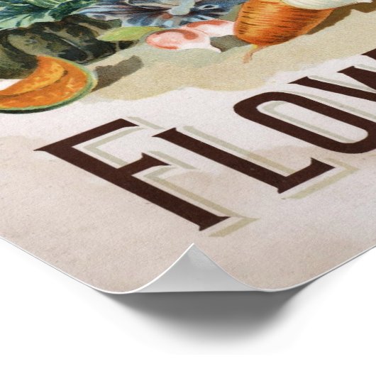 Poster Steele Briggs (Coin)