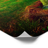 Poster Stegosaurus (Coin)