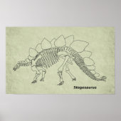 Poster Stegosaurus Skeleton (Devant)