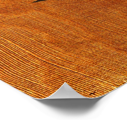 Poster Steinlen Cats (Coin)