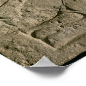 Poster Stela représentant un bateau à rames 'Felix Itala' (Coin)