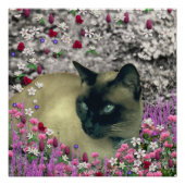Poster Stella en Fleurs I, Chocolat & Crème Chat Siamese (Devant)