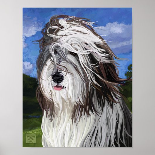Poster Stella le chien de berger anglais (Devant)