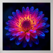 Poster Stellar Burst (Devant)