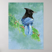 Poster Stellar Jay Bird Farmhouse Rustique Country Art (Devant)