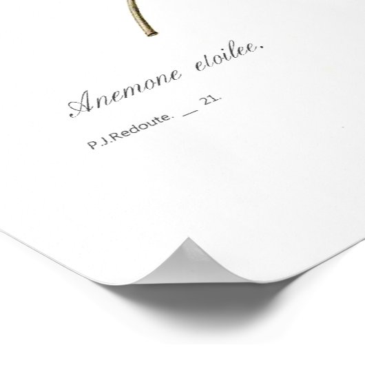 Poster Stellata (Coin)