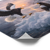 Poster Steller’s Sea Eagle (Haliaeetus pelagicus) – (Coin)