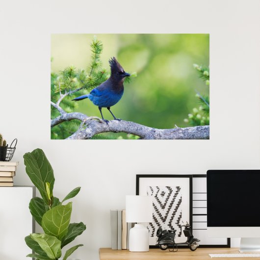 Poster Steller's Jay 3 (Bureau à domicile)