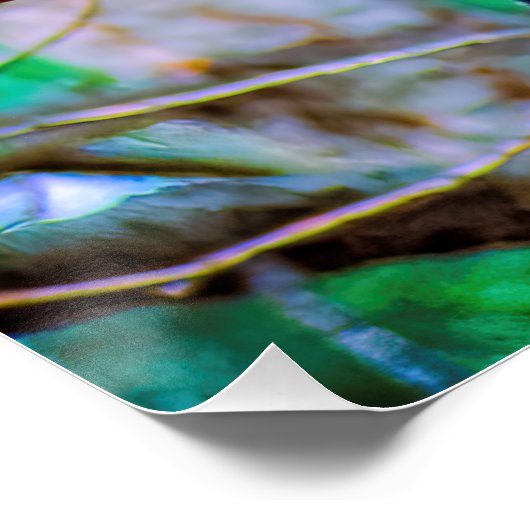 Poster Steller's Jay - Photographie originale (Coin)