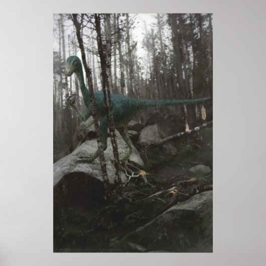 Poster Stenonychosaurus (Devant)