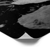 Poster Stepping Stone Garden Path (Coin)