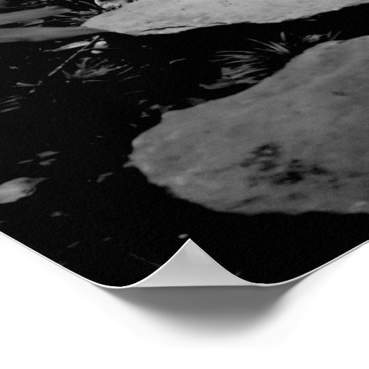 Poster Stepping Stone Garden Path (Coin)