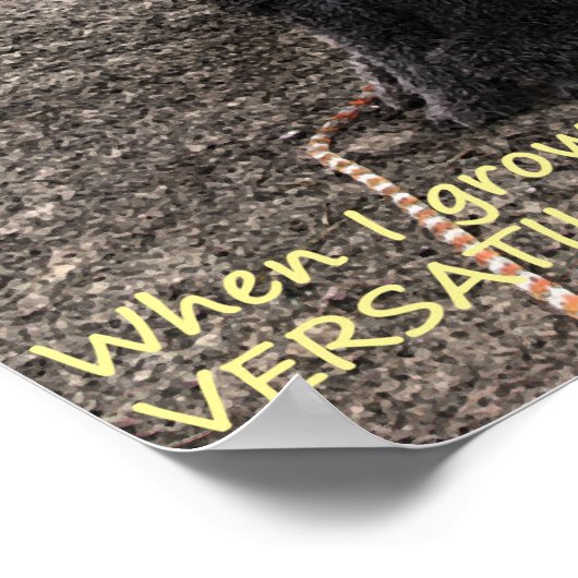 Poster Sterling (Coin)