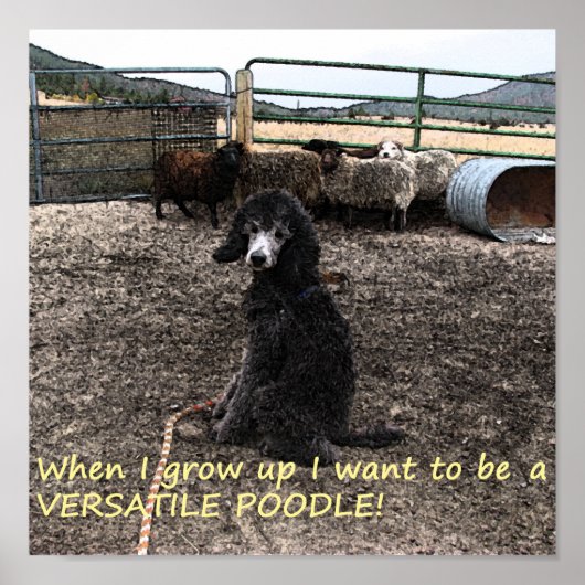 Poster Sterling (Devant)