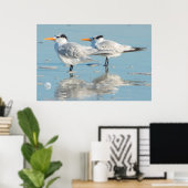 Poster Sternes royales sur la plage (Bureau à domicile)