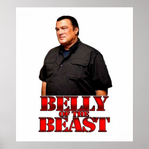 Poster Steven Seagal Belly De La Bête
