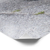 Poster Steyr Puch Haflinger (Coin)