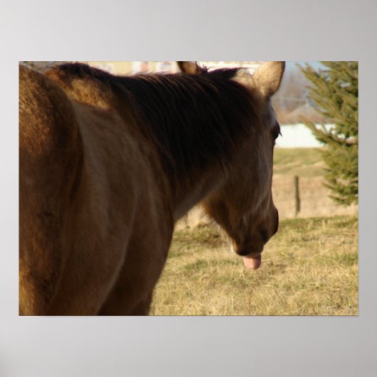 Poster Stick Sticks Son Langage (Devant)