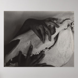 Poster Stieglitz Georgia O’Keeffe Hands Horse Skull Photo