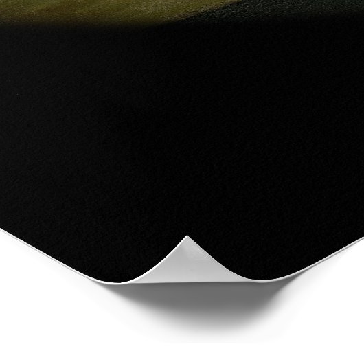 Poster Still Life with a Mermaid imaginaire Art (Coin)