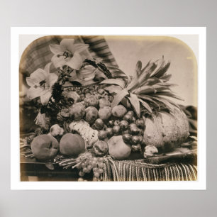 Poster Still Life with Fruit, 1860 (sepia photo)