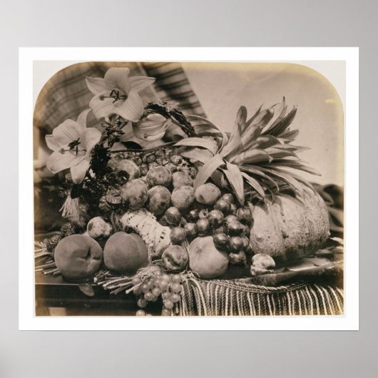 Poster Still Life with Fruit, 1860 (sepia photo) (Devant)