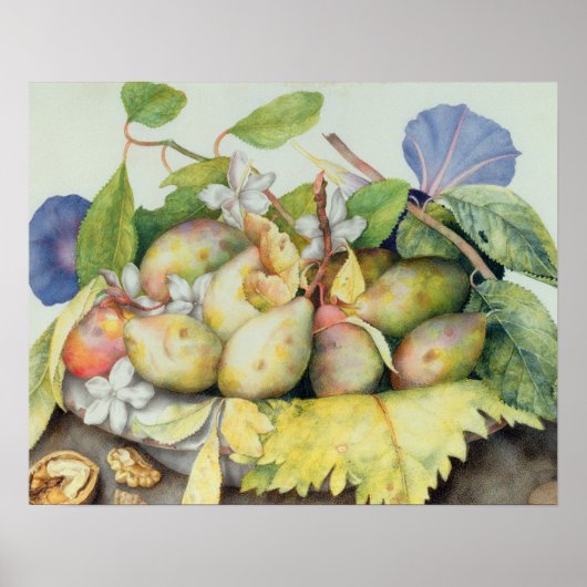 Poster Still life with Plums, Walnuts et Jasmine (w/c on (Devant)