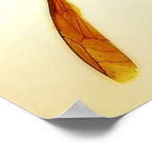 Poster Stinger 12 (Coin)