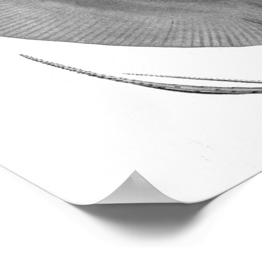 Poster Stingray à queue courte (Dasyatis brevicaudata) (Coin)