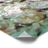 Poster Stingray de queue de ruban bleu (Coin)